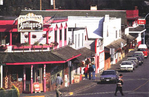 Shops in the heart of Chemainus