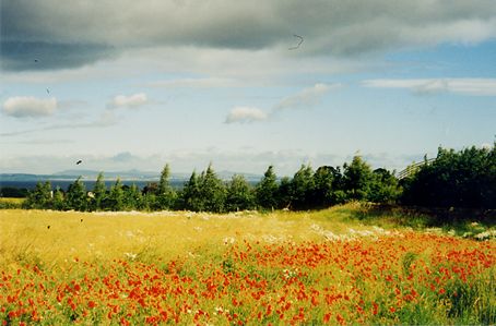 View from Dolphinstoun