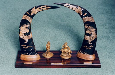 Prestoungrange Buffalo Horns