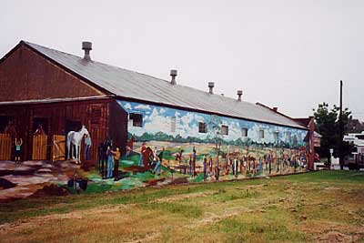 Pic 14