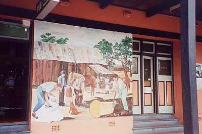 Pic 7