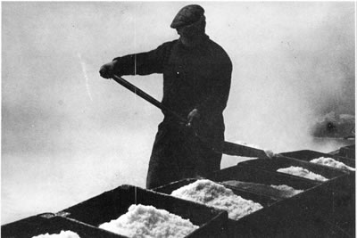Salt worker